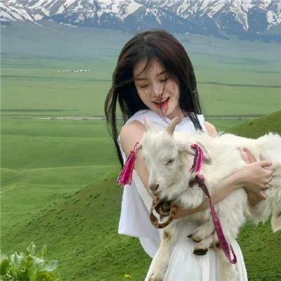 80奔赴布莱迪